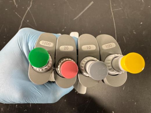 Eppendorf Research Plus Multichannel Pipettes - Quantity 4-cover