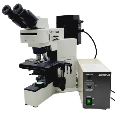 Olympus BX40 Fluorescence Microscope with 10x and 40x Objectives