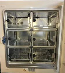 Heraeus HERAcell 240 CO2 Incubator (8.4 Cu-Ft), 12 of 21