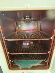 Thermo Fisher Scientific HERACELL 150 i GP Floor-Standing CO2 Incubator, 3 of 4