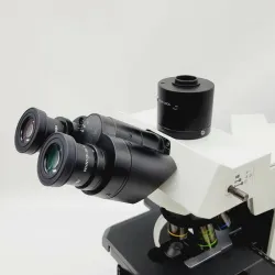 Olympus BX51 Microscope with Phase Contrast, Fluorite Objectives, and Trinocular Head, 5 of 8