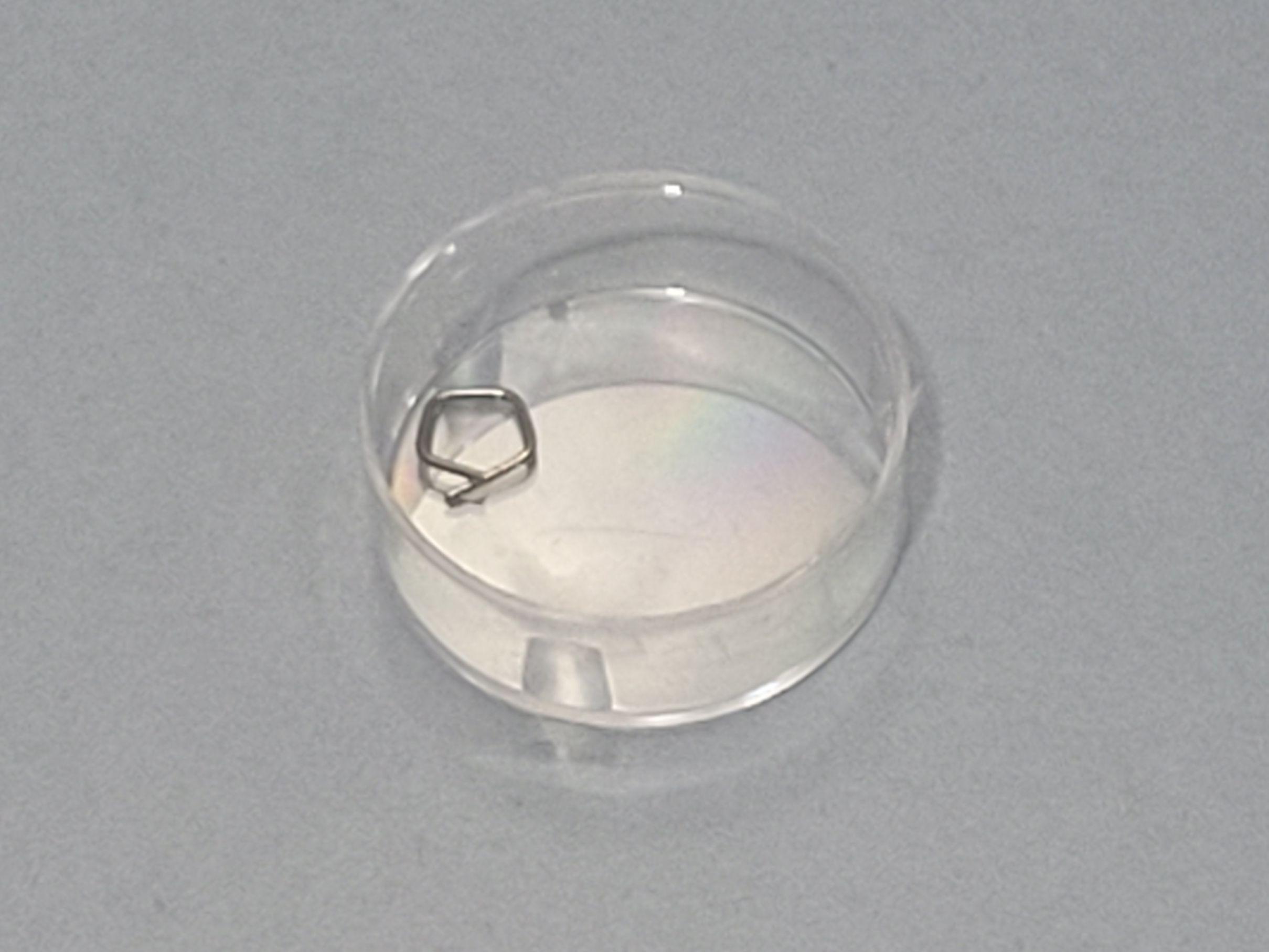 ZWIEBEL 50mg E2 Stainless Steel Calibration Weight
