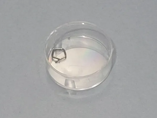 ZWIEBEL 50mg E2 Stainless Steel Calibration Weight