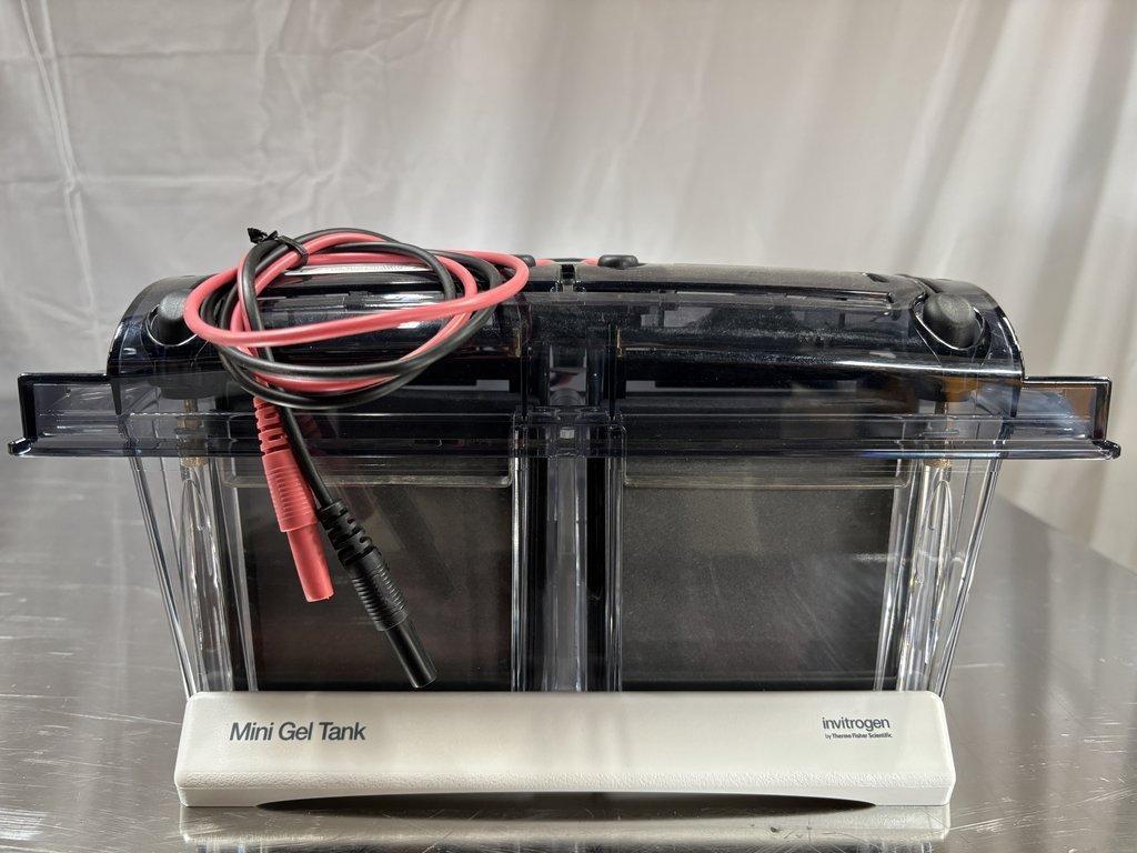 Thermo Scientific A25977 Mini Gel Electrophoresis Tank for Laboratory Use