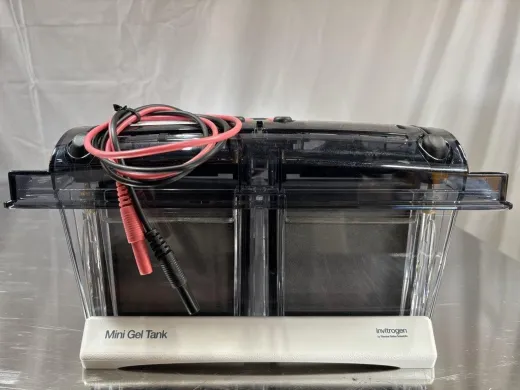 Thermo A25977 Mini Gel Tank for Electrophoresis Applications