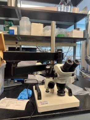 Olympus SZ61 Stereo Microscope Model SZ2-STB2 for Precise Laboratory Observation-cover