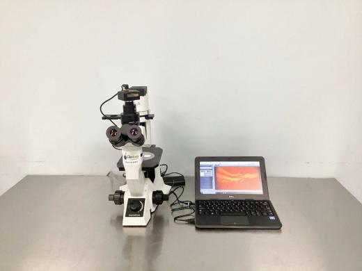 Olympus CKX41 Inverted Phase Contrast Microscope with UIS2 Infinity Optics and Trinocular Head-cover
