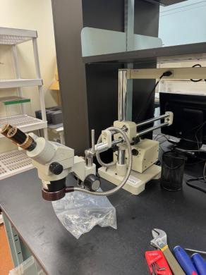 Luxo Stereo Microscope with Fiber Optic Illumination and Articulated Arm Stand-cover