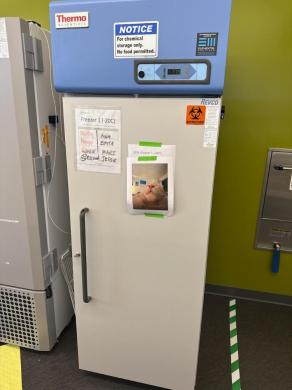 Thermo Revco -20°C Ultra-Low Temperature Laboratory Freezer-cover