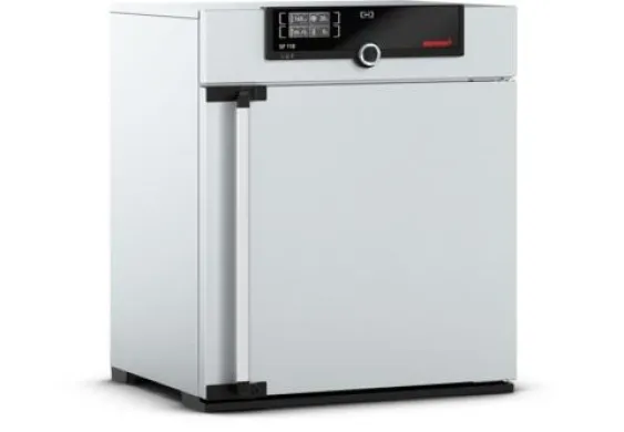 MEMMERT IN 110 Incubator/Incubator with Natural Convection 80°C