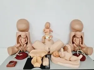 Maternity Birthing Simulator Cervix Examination, 3 of 8