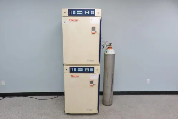 Thermo Scientific Napco 8000 Direct-Heat CO2 Incubator for Cell and Microbiology Labs