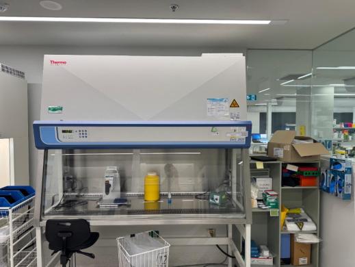 Thermo Safe 2020 6' BioSafety Cabinet-cover