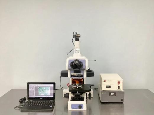 Nikon Eclipse E800 Upright Fluorescence Microscope with CFI60 Optical System and Digital Imaging-cover