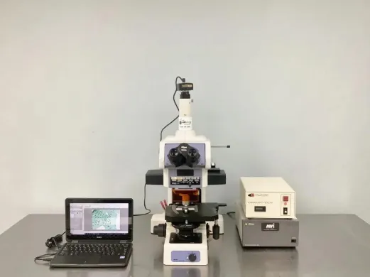 Nikon Eclipse E800 Upright Fluorescence Microscope with CFI60 Optical System and Digital Imaging