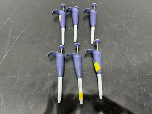 Rainin Pos D Single Channel Manual Pipettes – Set of 6-cover