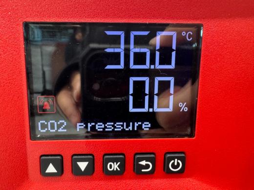 Binder CB-S 260 - UL E7 CO2 Laboratory Incubator with Digital Control and Stainless Steel Interior-cover