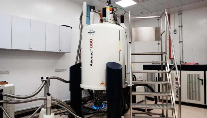 Bruker Avance III HD 800-cover