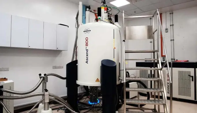 Bruker Avance III HD 800