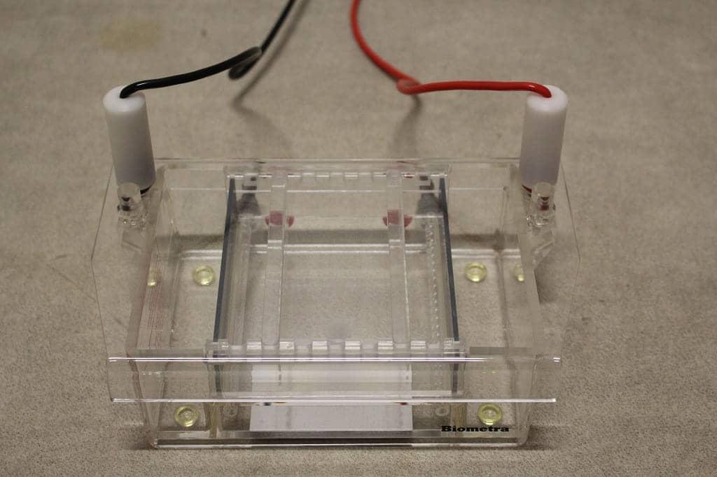 Biometra Agagel Standard Horizontal Electrophoresis Cell