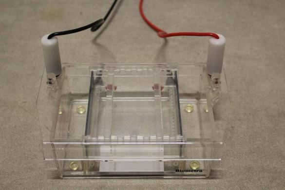 Biometra Agagel Standard Electrophoresis Cell-cover