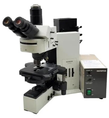 Olympus BX60 Microscope with Fluorescence and Phase Contrast, Fluorite Objectives