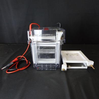 5461・invitrogen / Xcell SureLock™Mini-Cell and Xcell Ⅱ™Blot Module-cover