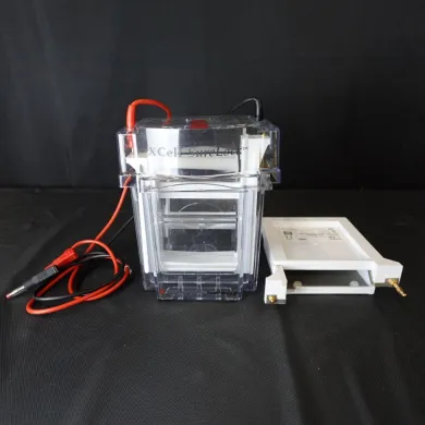 Invitrogen XCell SureLock Mini-Cell and XCell II Blot Module for Wet Transfer