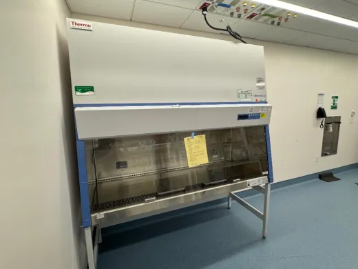 Thermo 1300 Series A2 6' BioSafety Cabinet