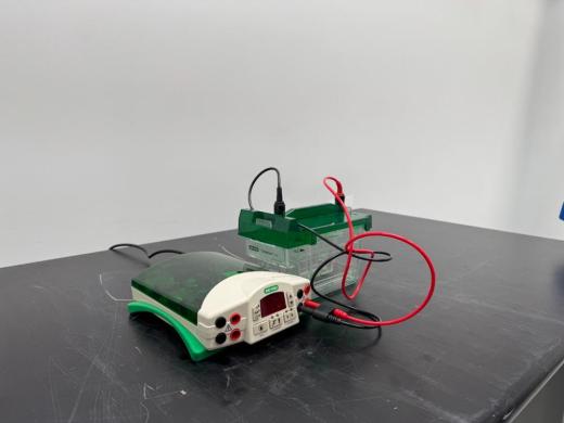 Bio-Rad PowerPac Basic Electrophoresis System-cover