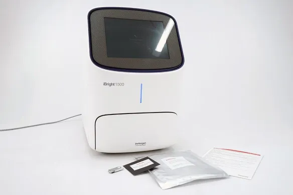 Thermo Fisher Scientific Invitrogen iBright FL1500 Fluorescence and Chemiluminescence Imaging System