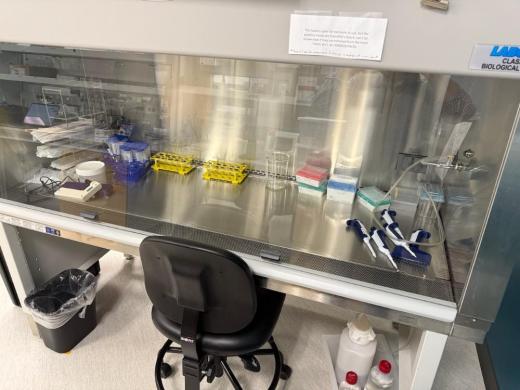 Nuaire LabGard ES 6' Class II Biosafety Cabinet for Laboratory Use-cover
