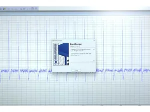 Axon Axopatch 200B Patch Clamp Amplifier with CV 203BU Headstage, Digidata 1550B Digitizer and pCLAMP 10, 3 of 18