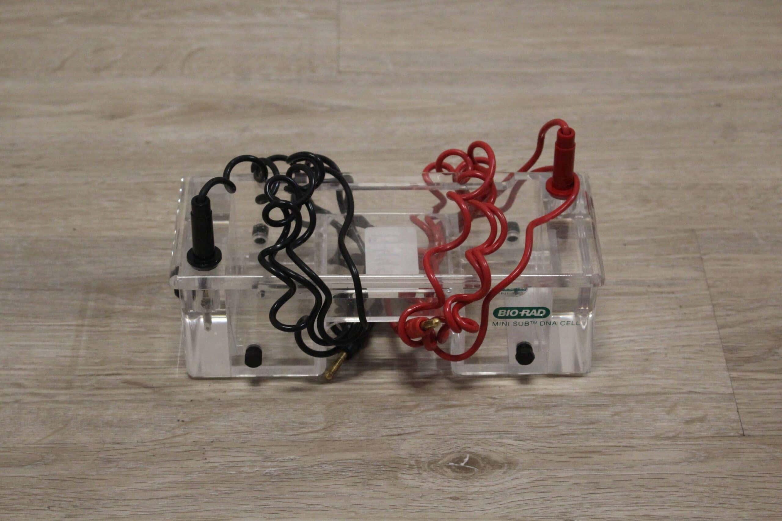 Bio-Rad Mini Sub Cell Electrophoresis Cell