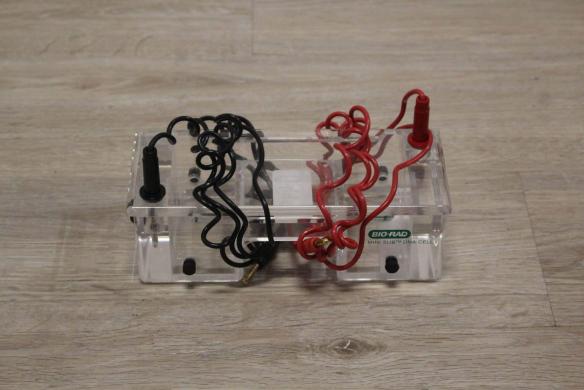 Bio-Rad Mini Sub Cell Electrophoresis Cell-cover