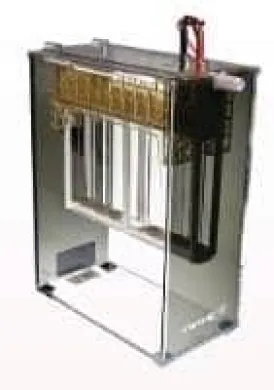 Vertical Electrophoresis System