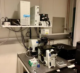Olympus FV1000-TO, 2 of 3