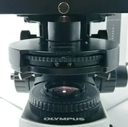 Olympus BX51 Fluorescence and Phase Contrast Trinocular Microscope, 8 of 9