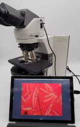 Nikon Eclipse 80i Upright Microscope with DIC and Camera Port, 2 of 14
