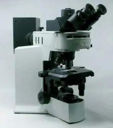 Olympus BX51 Fluorescence and Phase Contrast Trinocular Microscope, 4 of 9