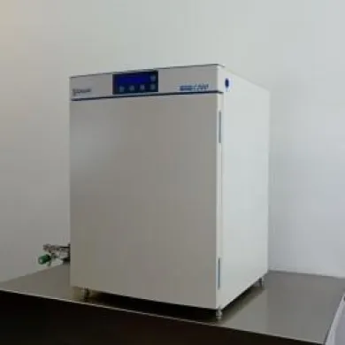 Labotect C200 CO₂ Incubator with 200L Volume and Precise Environment Control