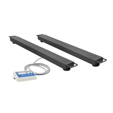 Radwag C315.4P2.6000.C2 Beam Scale