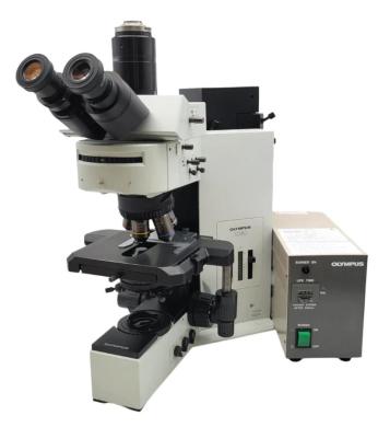 Olympus BX60 Fluorescence Microscope with Fluorite Objectives and Trinocular Head-cover
