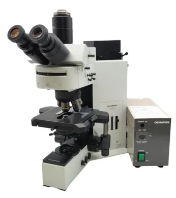 Olympus BX60 Fluorescence Microscope with Fluorite Objectives and Trinocular Head