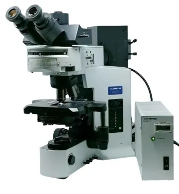 Olympus BX51 Fluorescence and Phase Contrast Trinocular Microscope
