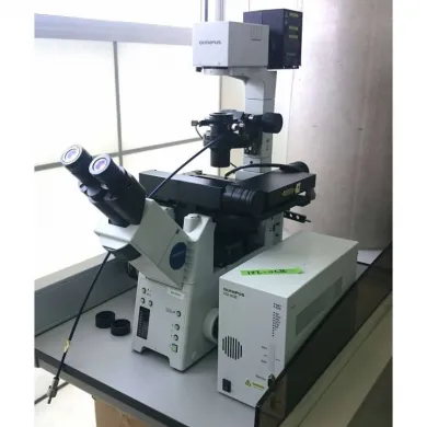 Olympus IX81F Motorized Inverted Fluorescence and Phase Contrast Microscope System