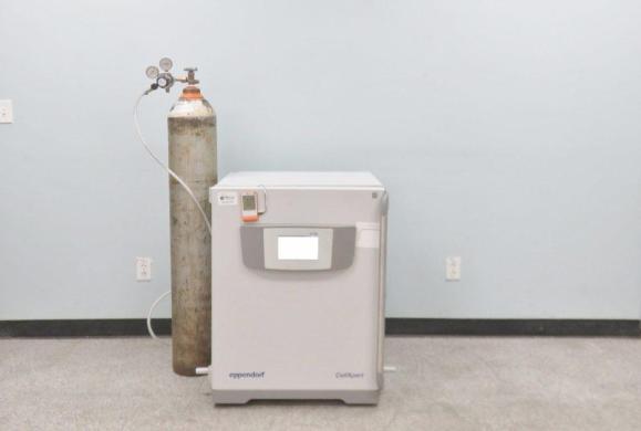 Eppendorf CellXpert C170i CO2 Incubator for Precise Cell Culture and Biotech Applications-cover