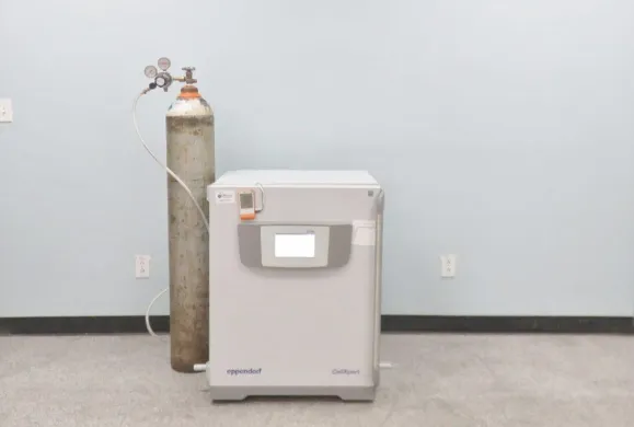 Eppendorf CellXpert C170i CO2 Incubator for Precise Cell Culture and Biotech Applications