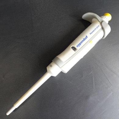 Eppendorf Research plus 10-100 µL Adjustable Micropipette 4600-2-cover