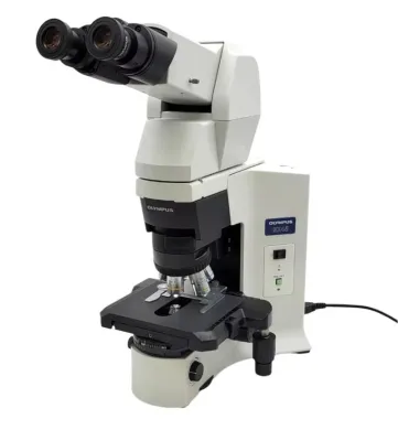 Olympus BX45 Microscope with Tilting Telescoping Binocular Head and Plan Objectives